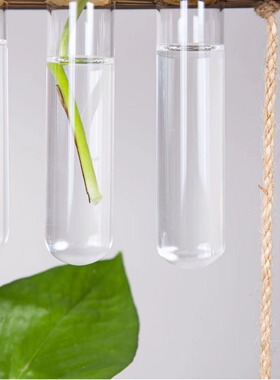 创意简约墙面壁挂水培双层悬挂式