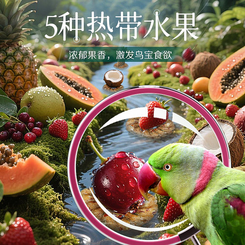 【新客会员尝鲜装】IGG热带水果圈鹦鹉零食奖励磨牙玄凤专用鸟粮 - 图0