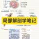 Huo Kun's systematic anatomy handwritten notes of bones and joints human anatomy class exam recitation materials 2025 latest systematic anatomy Huo Kun's notes error-corrected version of human anatomy systematic anatomy notebook