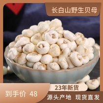 (Changbai Mountain fritillary) Changbai Mountain Selection of wild fritillaries can be made autummy paste Sydney paste Soak Water Saucepan 250g