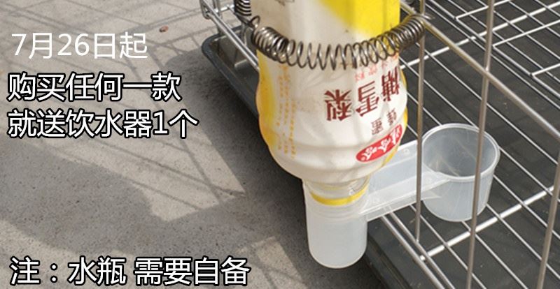 鸽子笼家用配对养殖繁殖笼子小号大号小大型白鸽信鸽折叠清仓鸽笼 - 图2