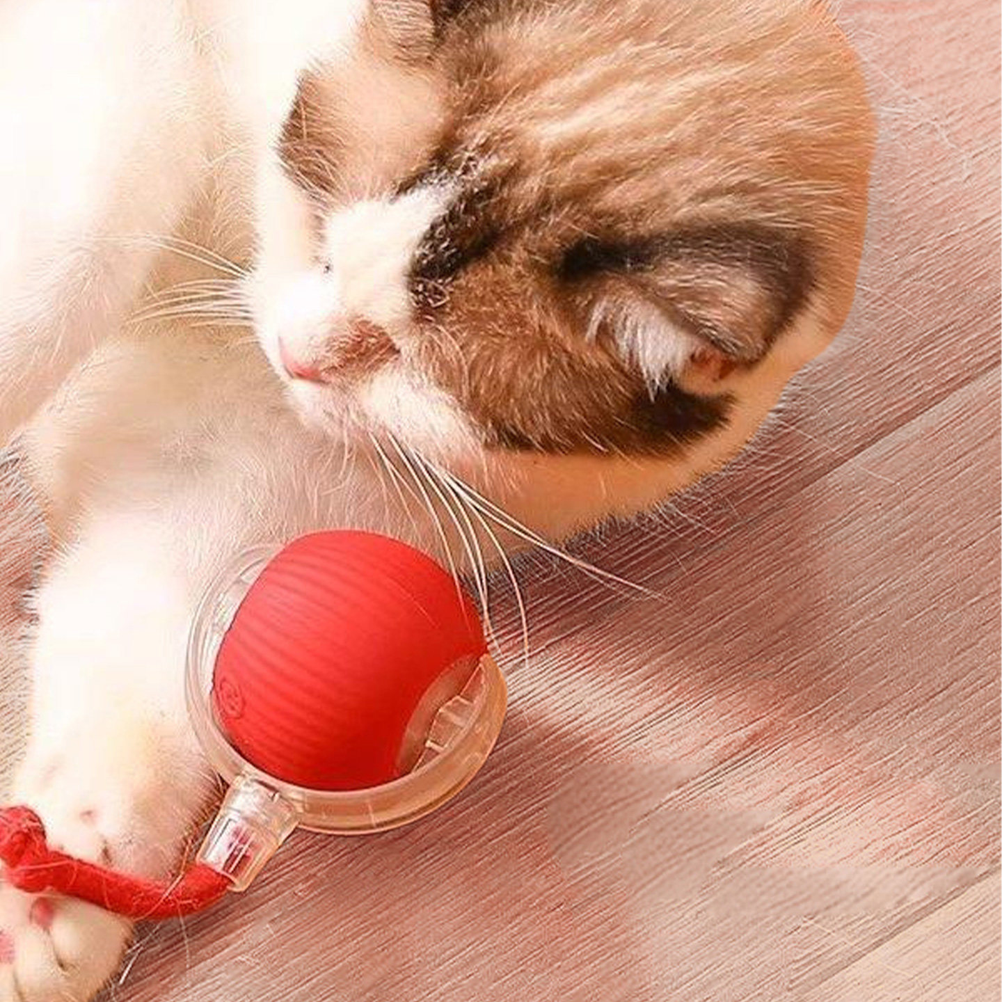 ucat逗猫球猫咪玩具智能自动逗猫球小猫猫滚滚球解闷耐咬 | 诚禄,淘宝优惠券,粉丝福利购,淘宝优惠卷