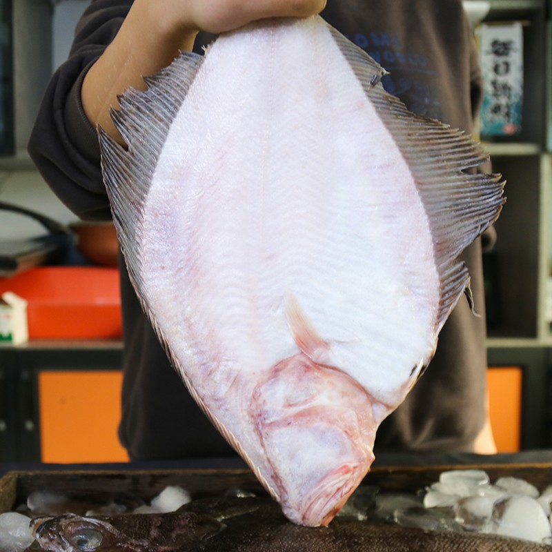 整条冷冻鲽鱼鸦片鱼新鲜深海鲜活鲽鱼比目鱼海鲜水产大鲽鱼包邮-图1