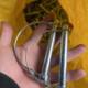 Excavator rollover anti-loss bucket pin screw nut