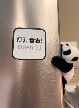 熊猫冰箱贴可爱毛绒四川纪念品礼物出国送朋友成都旅游伴手礼