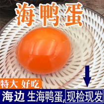 Guangxi Beibu Gulf Beibu Gulf Mangrove Authentic fresh raw sea duck egg duck egg fresh duck eggs 30 pieces