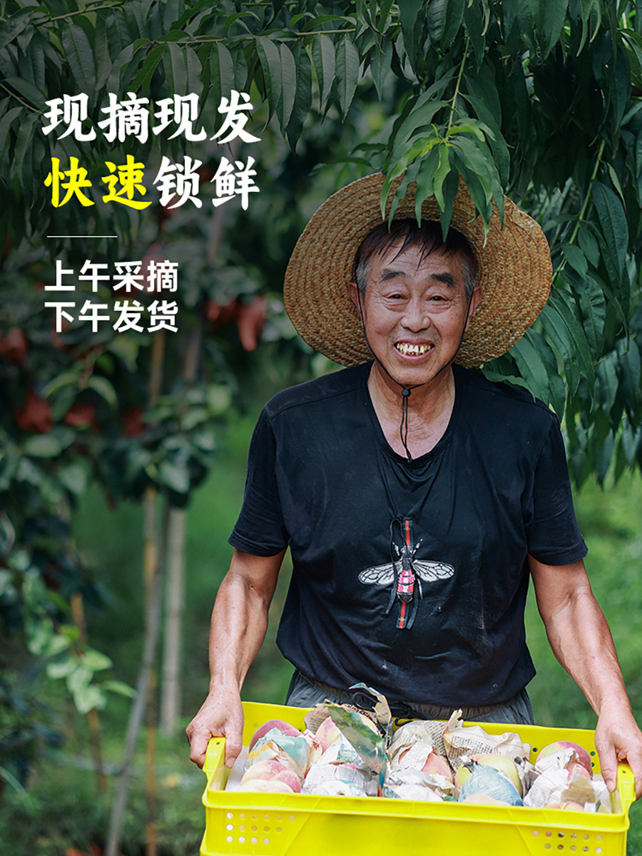 创露 无锡阳山水蜜桃 单个4~5两 4个装*2件 天猫优惠券折后￥48包邮