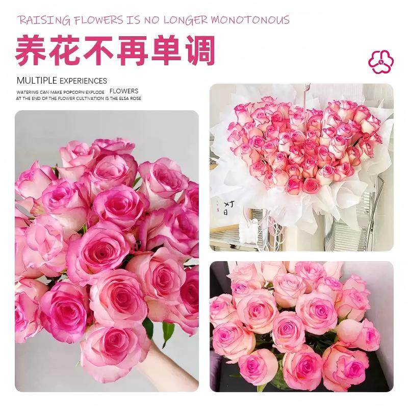 蔷薇花苗藤本月季花树庭院爬藤植物阳台花卉玫瑰盆栽四季播种好养,淘宝优惠券,粉丝福利购,淘宝优惠卷