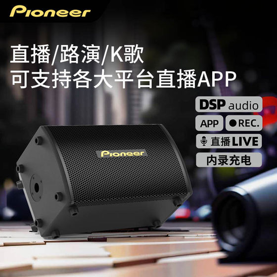Pioneer先锋专业级户外K歌音响大功率卡拉OK舞台演出KTV乐器音箱