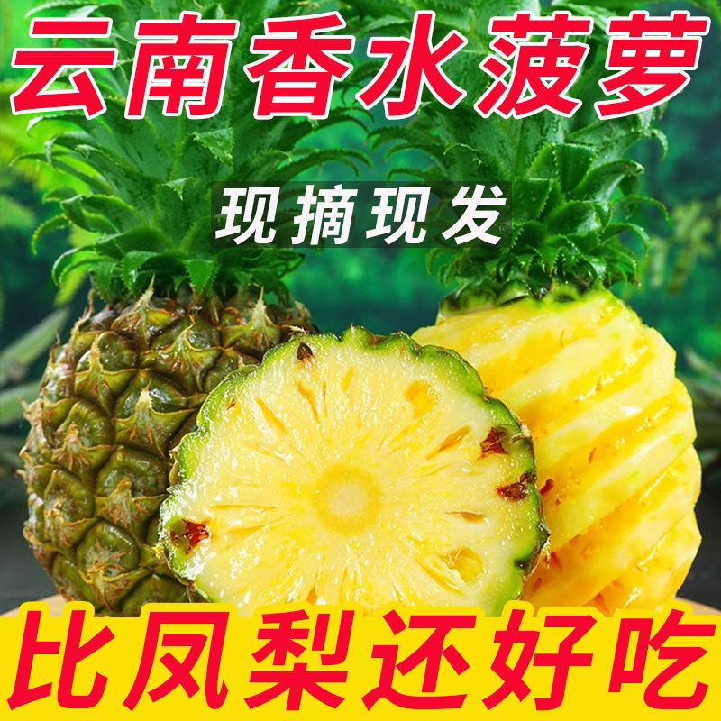 新鲜甜大菠萝水果当季水果香水菠萝云南高山菠萝 - 图2