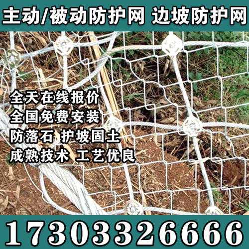 甘肃天水主动被动边坡防护网GPS2山体护坡网SNS柔性钢丝绳防落拦-图1