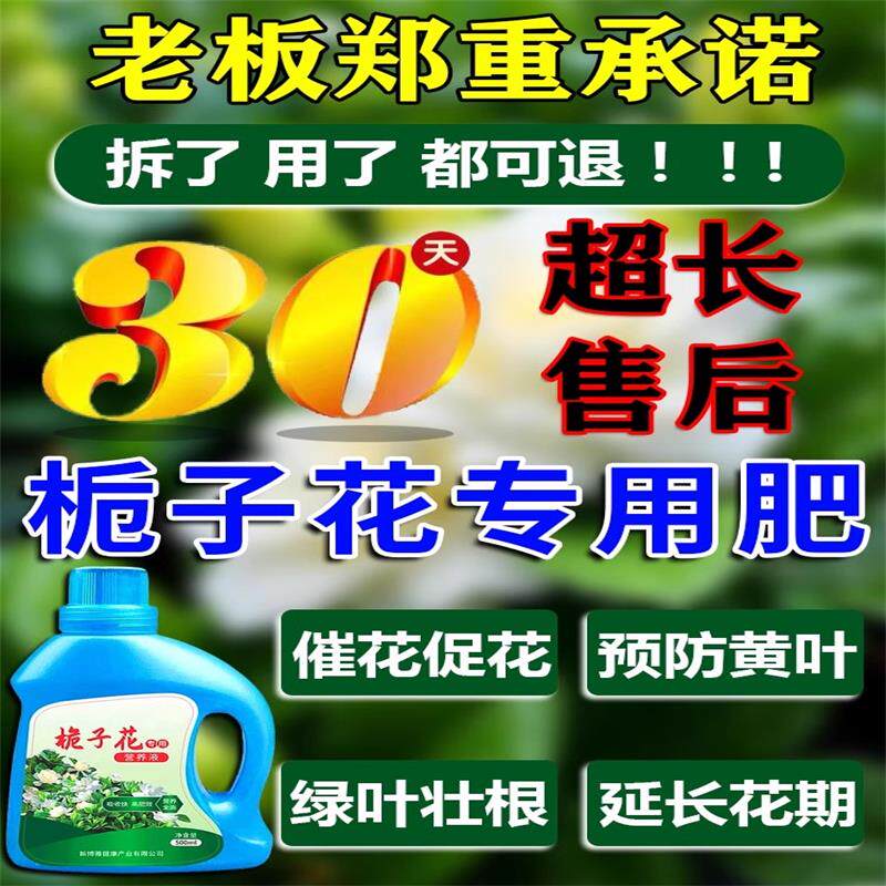栀子花黄叶掉叶掉花苞专用肥料营养液急救液体助生长叶增绿促开花