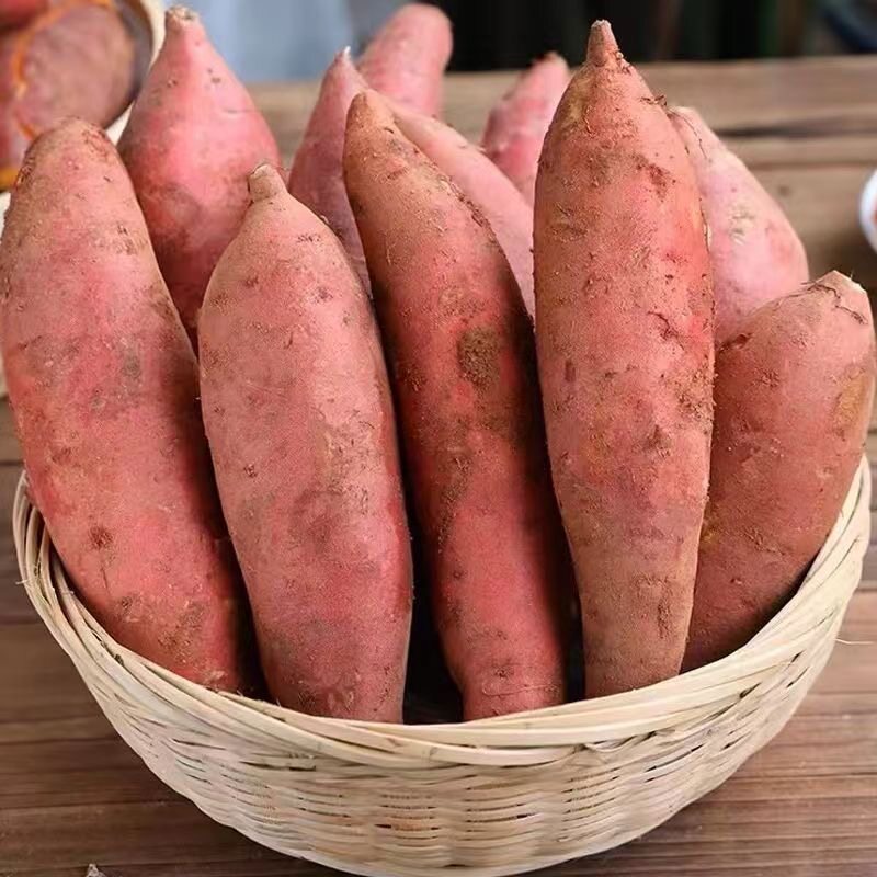 新鲜蜜薯9斤红薯板栗烤地瓜糖心番薯沙地农家自种山芋小香薯烟薯