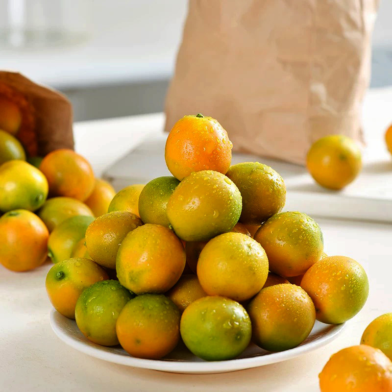 广西脆皮金桔10融安小金桔当季新鲜水果橘子冰糖心纯甜5斤整箱柑,淘宝优惠券,粉丝福利购,淘宝优惠卷