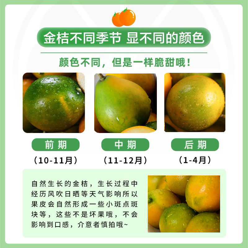 广西脆皮金桔10融安小金桔当季新鲜水果橘子冰糖心纯甜5斤整箱柑,淘宝优惠券,粉丝福利购,淘宝优惠卷
