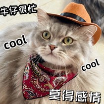 Cowboy Busy ~ Cat Decorative Cap Pet Head Ornament Western Denim Hat Pooch Photo N Stars Cowboy Hat