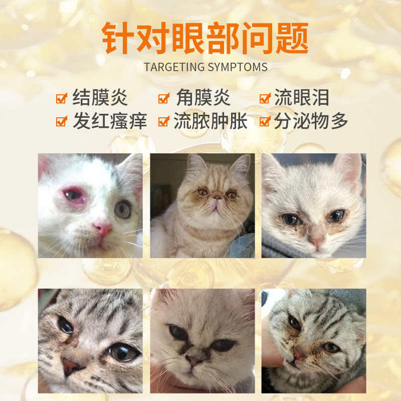 硫酸新霉素滴眼液宠物狗狗猫眼药水消炎猫鼻支结角膜炎泪痕去眼屎,淘宝优惠券,粉丝福利购,淘宝优惠卷