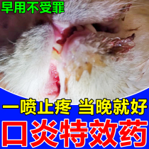 Cat Stomatitis Special Effect Medicine Pet Mouth Anti-inflammatory Deodorant Spray kittens Gingival Inflammation of Mouth Flow Saliva Special Medicine