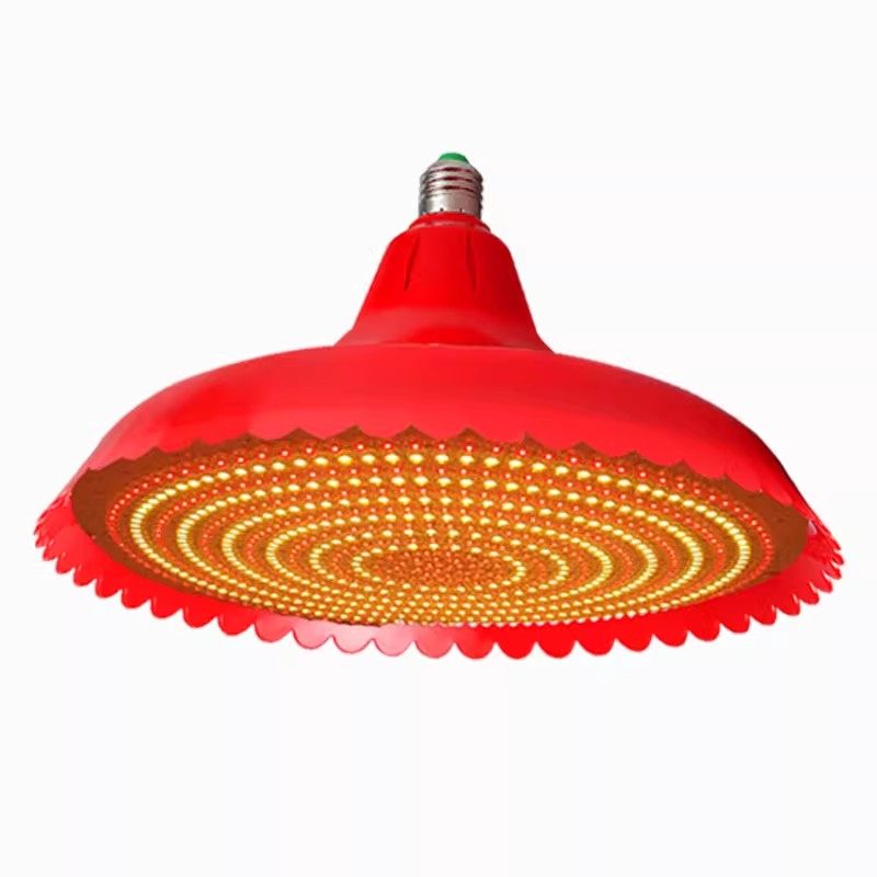 熟食灯LED生鲜灯卤味烧腊灯熟菜灯烧烤灯猪肉灯水果灯吊灯红黄光,淘宝优惠券,粉丝福利购,淘宝优惠卷