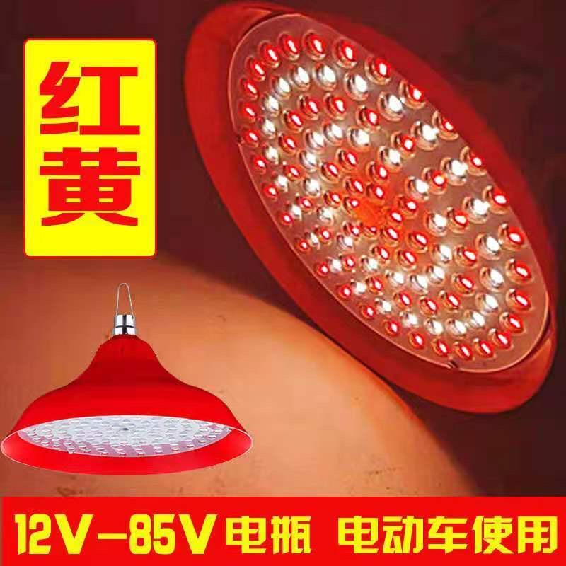 12V36V48V85V地摊夜市低压电瓶水果生鲜猪肉灯熟食卤菜灯可调光-图1