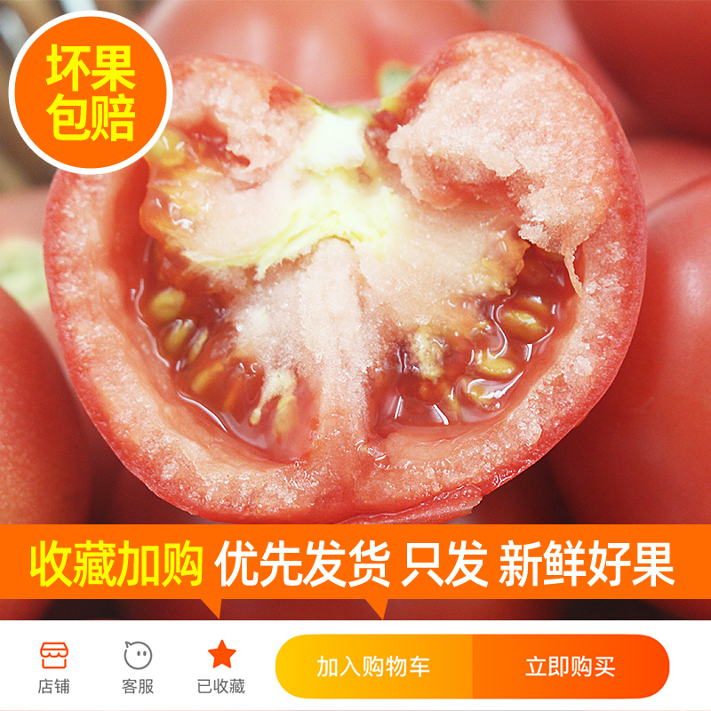 现摘宝宝新鲜水果农家西红柿5斤自然熟新鲜普罗旺斯沙瓤大番茄