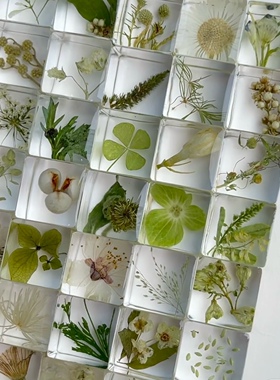植物滴胶方块标本硅胶模具手工制作干花种子琥珀立体标本展示材料