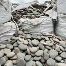 Cobble Pebble Turtle Sundae Sun Terrace Natural Stone Climbing Terrace Flat Stone Turtle cylinder Scape Floating Island Sunning Back Stone Spot
