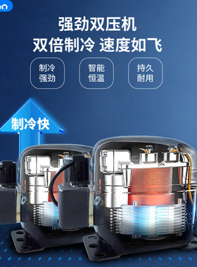 雅绅宝源头厂家冷冻柜商用超市饺子汤圆双门低温冷冻展示柜速冻