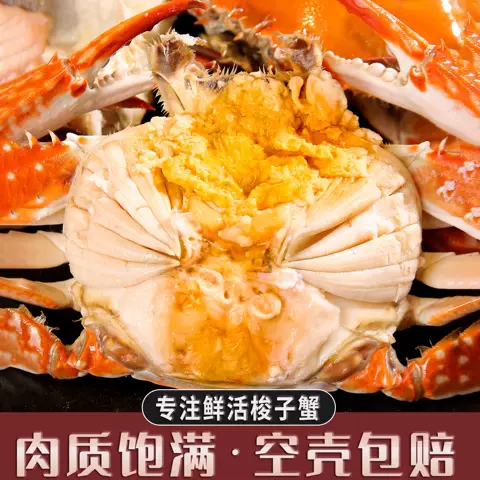 【保鲜不保活】舟山螃蟹活梭子蟹大白蟹海鲜水产新鲜野生公蟹飞蟹 图片 3