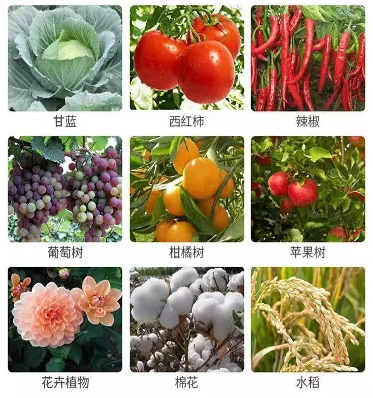 高效氯氟氰菊酯蔬菜果树辣椒豆角植物小黑飞白飞虱蚜虫蜜虫杀虫剂,淘宝优惠券,粉丝福利购,淘宝优惠卷