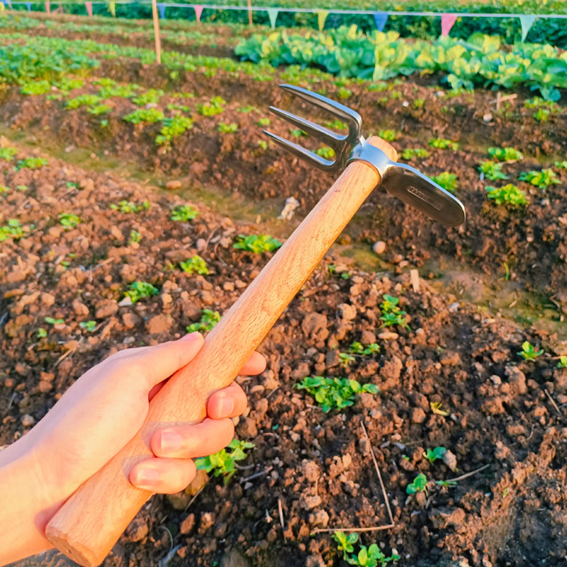 户外不锈钢两用镐耙家用菜园松土刨土种花钓鱼一体成型加厚结实-图2