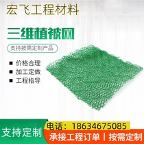 Three-dimensional vegetation network Greening protection slopes with green geogrid EM4 Two layers of three layers steep slopes govern three-dimensional vegetation net