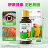 Bird Parrot Liver Essence Detoxification Nourishing Liver and Liver Protective Nutritional Solution