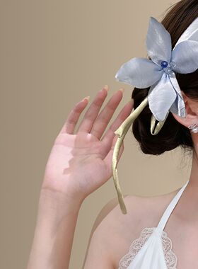 浪漫花期~紫色百合花飘带发箍2026春夏旅游拍照压发花朵头箍发饰