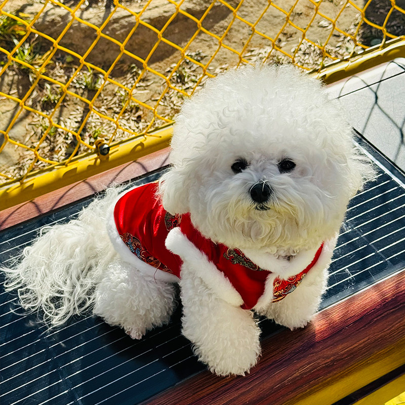 新年穿新衣丨小狗狗新年衣服冬季唐装宠物比熊猫咪马甲喜庆拜年服,淘宝优惠券,粉丝福利购,淘宝优惠卷