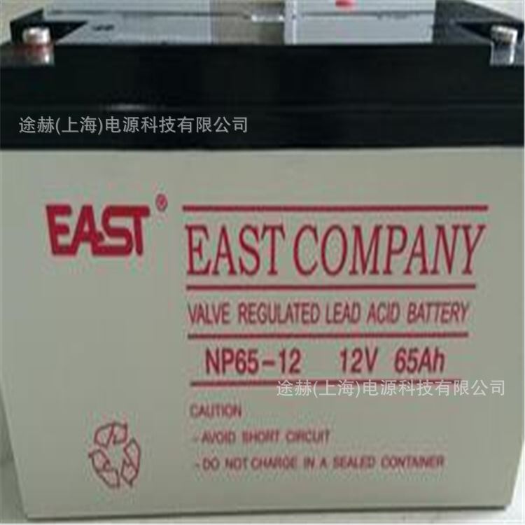 EASTNP65-12 12V65AH铅酸免维护阀控式UPS/EPS电源蓄电池 - 图1