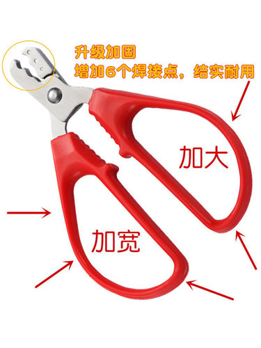 夹花生工具剥花生壳神器家用手动扒坚果皮钳夹花生剥壳器专用工具 - 图3