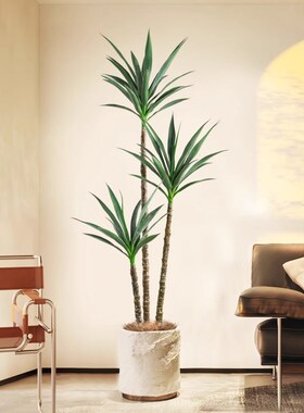 新品仿真绿植剑麻铁树植物大型盆栽装饰假绿植Q室内办公室商场落