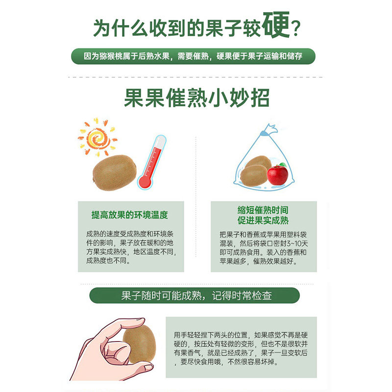  晨福果奇异果/猕猴桃