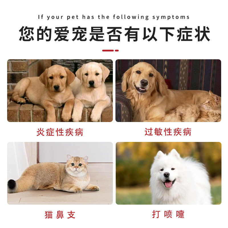 猫咪猫鼻支雾化药地塞米松磷酸钠注射液犬窝咳感冒药宠物雾化套餐,淘宝优惠券,粉丝福利购,淘宝优惠卷