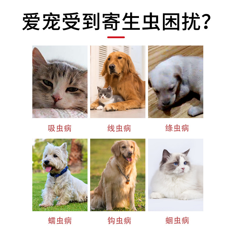 宠佳美狗狗驱虫药猫咪驱虫药宠物驱虫药阿苯达唑片体内体外一体猫,淘宝优惠券,粉丝福利购,淘宝优惠卷