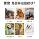Doxycycline dogs and cats can be sent quickly with SF Express