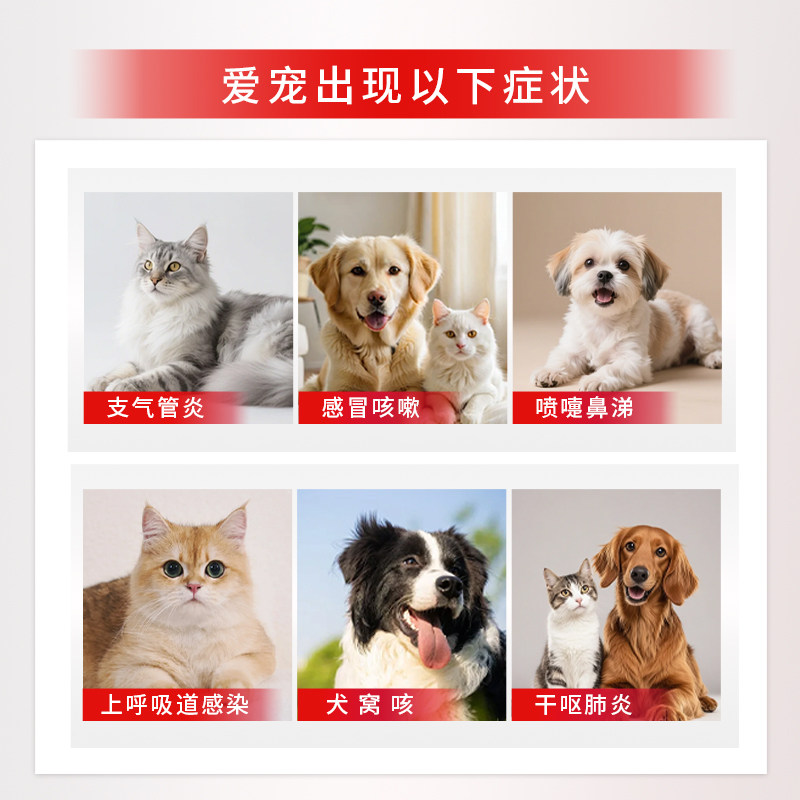 盐酸多西环素片狗狗猫咪感冒咳嗽窝咳喷嚏流鼻涕速感冒诺猫鼻支药,淘宝优惠券,粉丝福利购,淘宝优惠卷