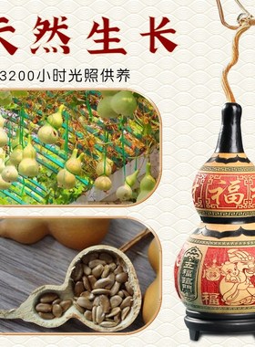 天然葫芦摆件五福临门福禄寿禧财大号雕刻葫芦摆件把玩工艺品