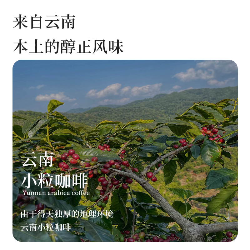 胖无忧黑咖啡云南农科院咖啡豆粉速溶特浓冰美式0脂肪0蔗糖添加