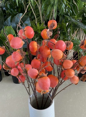 尖果柿子仿真浆果 家居装饰摆件植物假柿子枝 泡沫喷漆果子树枝