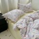 Cute girl ins soft and cute cat bed sheet four-piece set