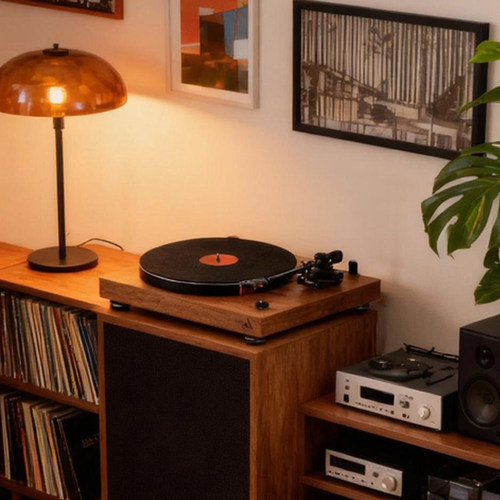 ARGON AUDIO阿尔歌TT-4 MK2黑胶唱片机家用复古黑胶留声机 - 图3