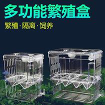 Fish Tank Separator Separating Plate Transparent Box Mesh Fish Fish Supplies Hatching Box Breeding Cutout Box Small Fish Isolation Net