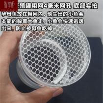 Peacock fish breeding pot birth small fish isolation case fish tank hatchbox suspended floating water ethnic dense net mother fish production